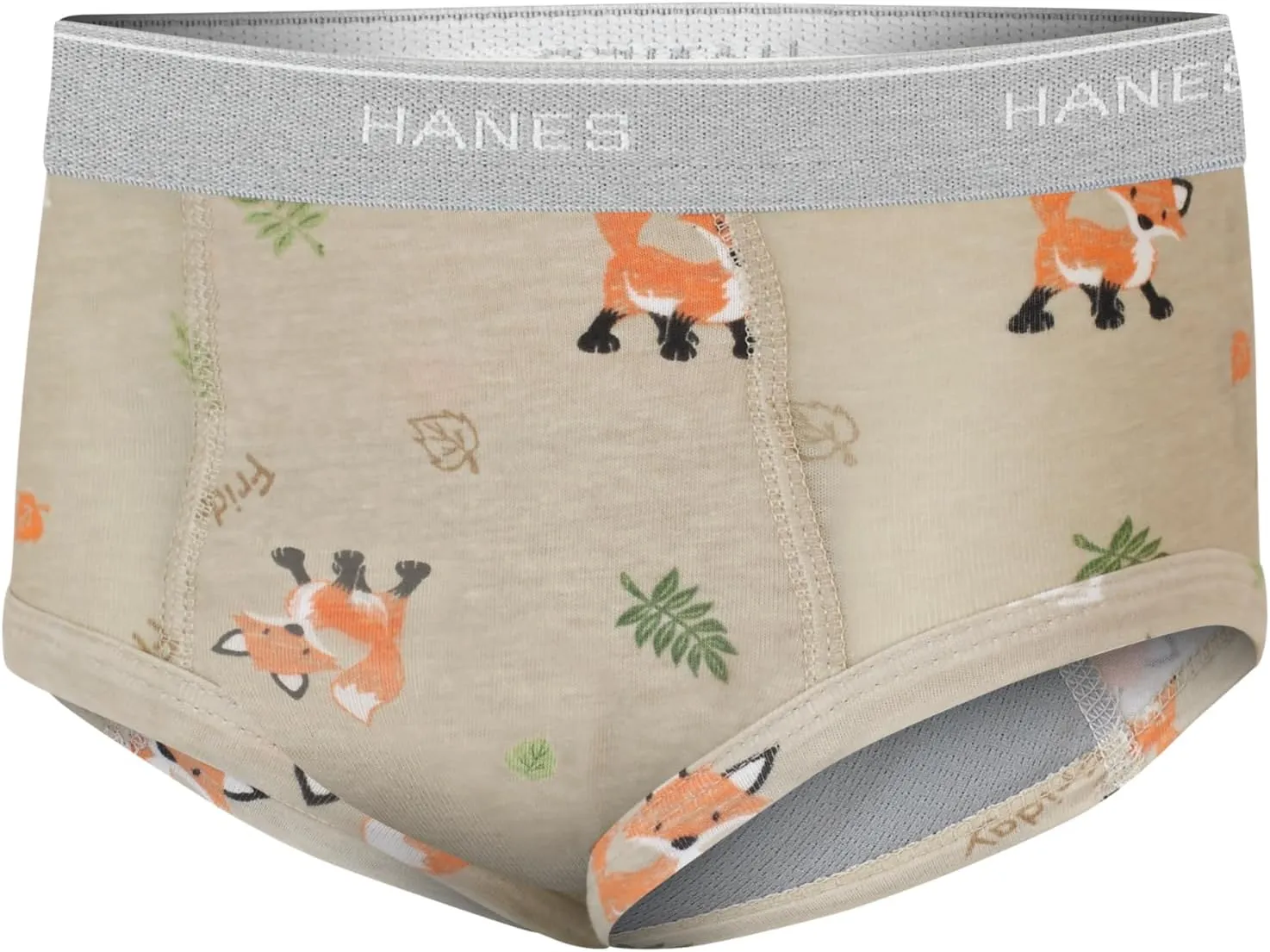Hanes Trainer Briefs, Light Leaks Potty Training Underwear for Toddler Boys, Multipacks